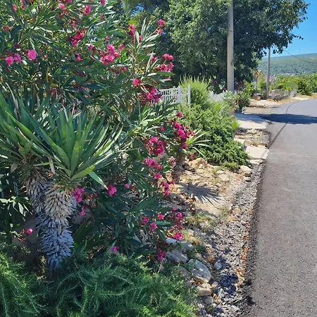 Daire Iva Gornji Karin